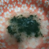 離乳食中期★小松菜と玉ねぎのみじん切りスープ